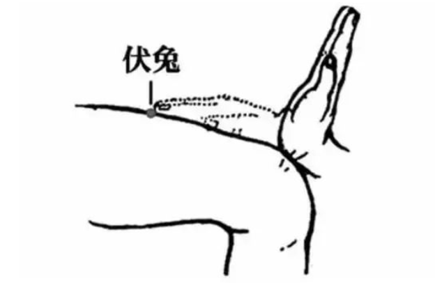 pg�齫����(�ٷ���)�ƽ�/����/���ֹٷ���վ